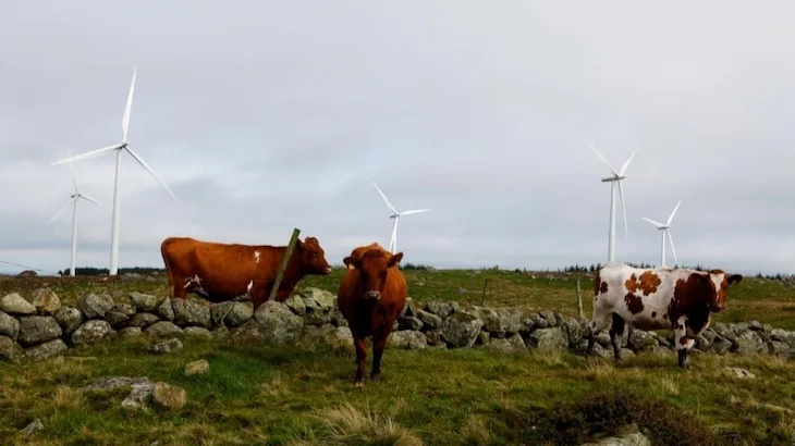 Image of "Høg-Jæren EnergiPark I."