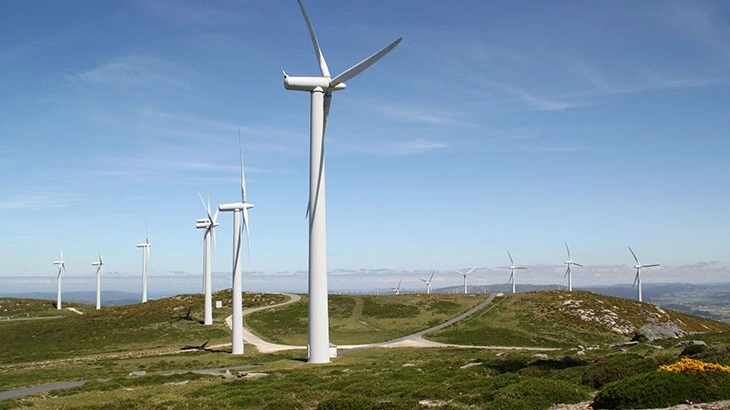 Image of "Paxareiras(Pax) IIf."