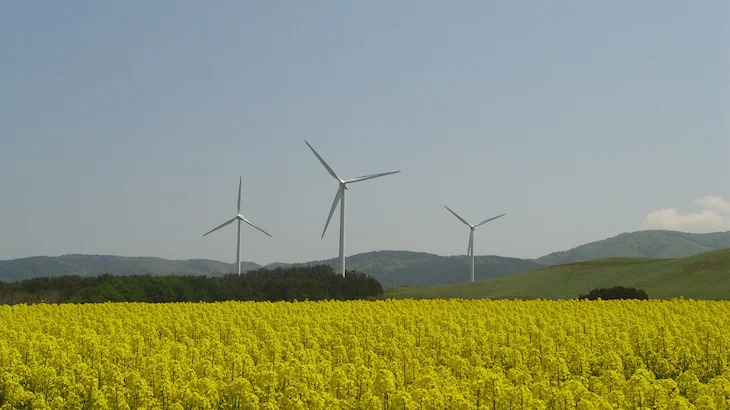 Image of "Eurus Mameda Wind Farm."