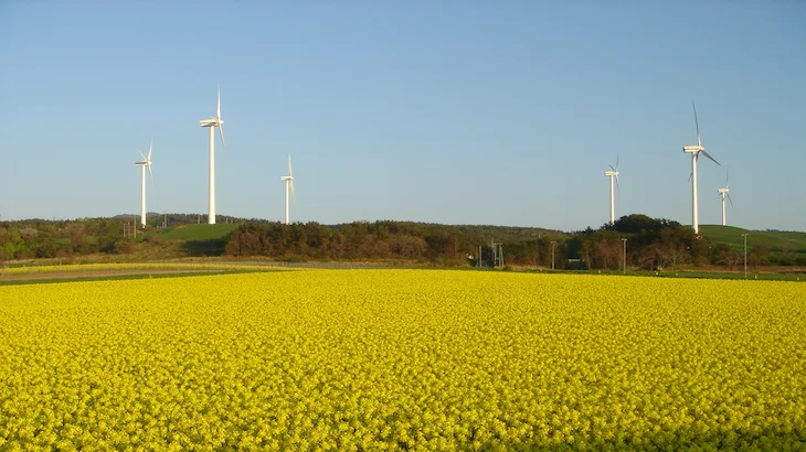 Image of "Eurus Mameda Wind Farm."