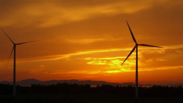 Image of "Eurus Noheji Wind Farm."