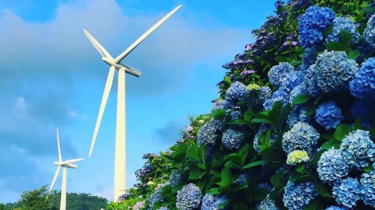 Image of "Okawara Wind Farm."