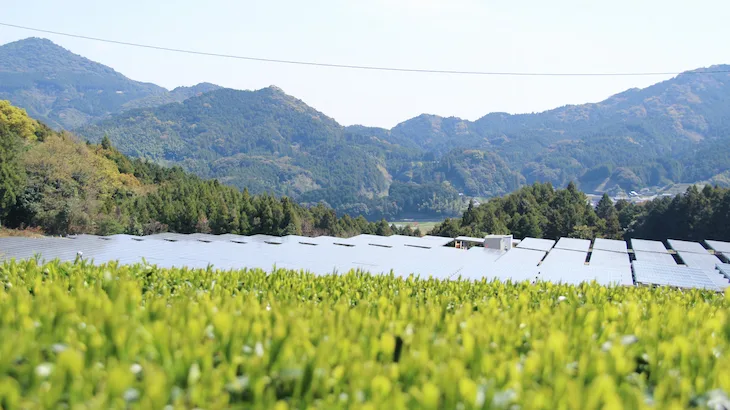 Image of "Eurus Ureshino Yoshida Solar Park."