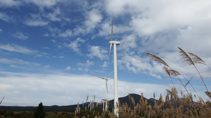 Image of "Eurus Tashirotai Wind Farm."
