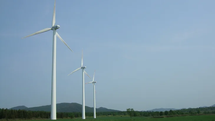 Image of "Eurus Tashirotai Wind Farm."