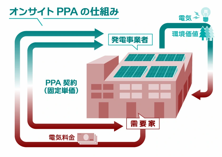 CPPAtoha_01.webp