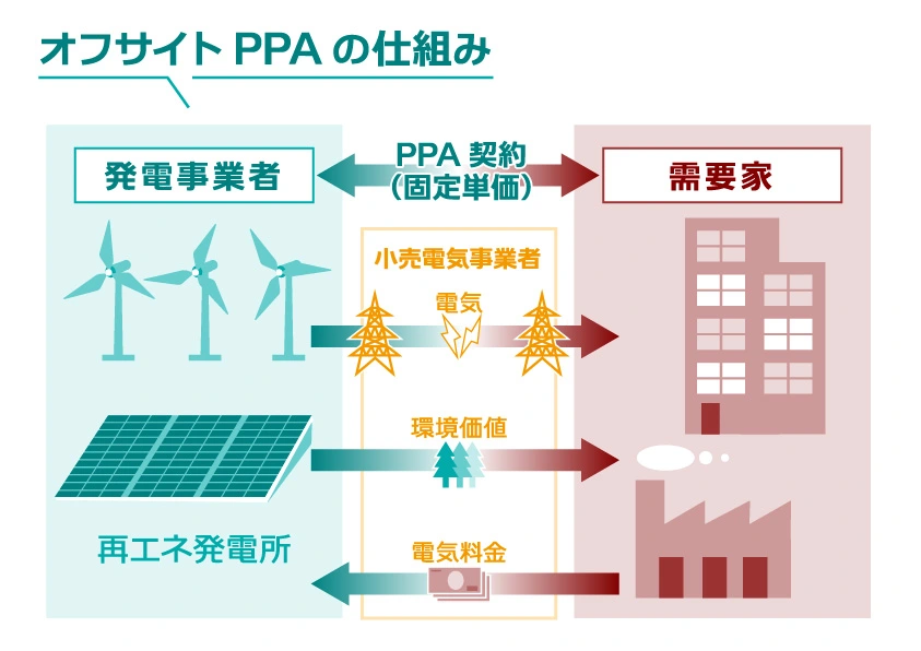 CPPAtoha_02.webp