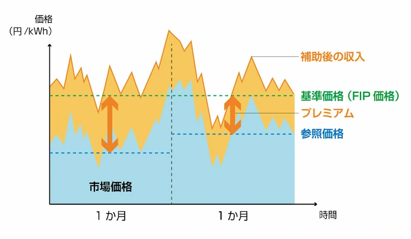 FIP_01.webp