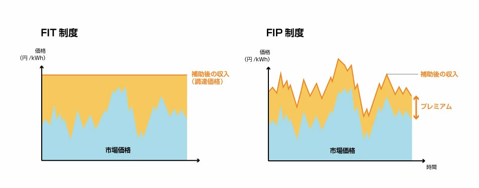 FIP_02.webp