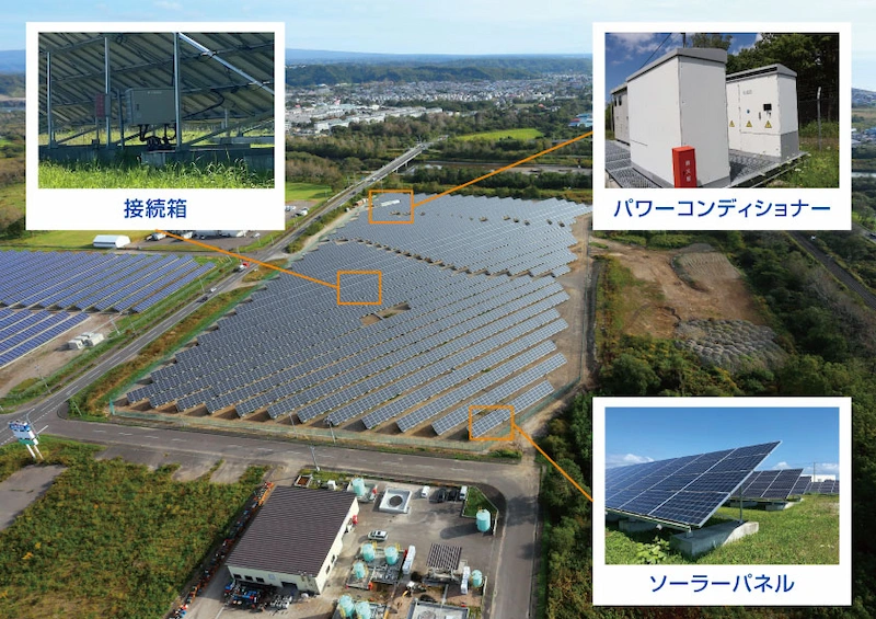 sunshikumi_05.webp