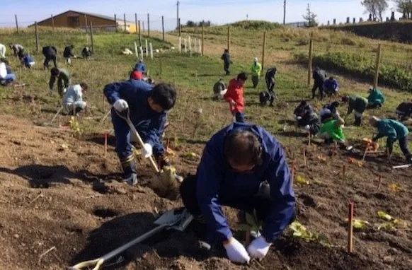 sustainability_20161015.webp