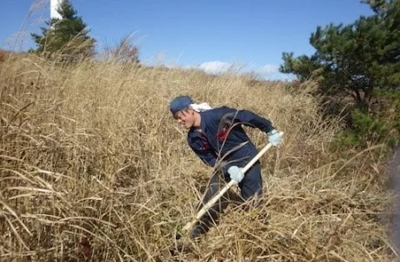 sustainability_20161023_1.webp