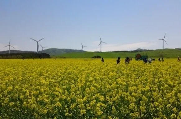 sustainability_20190519_1.webp