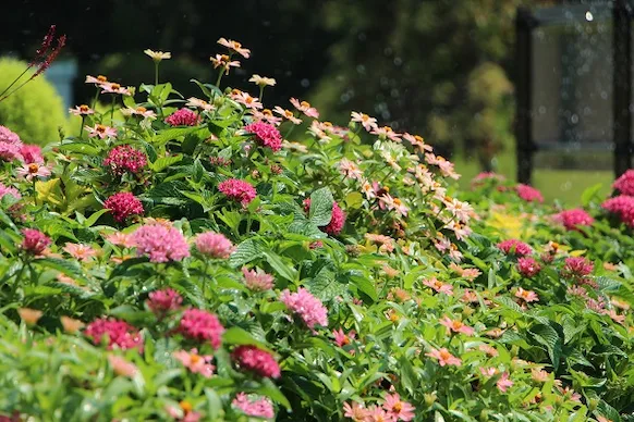 sustainability_20190731_6.webp