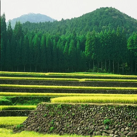sustainability_20210226_2.webp