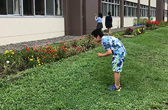 sustainability_20170830.webp